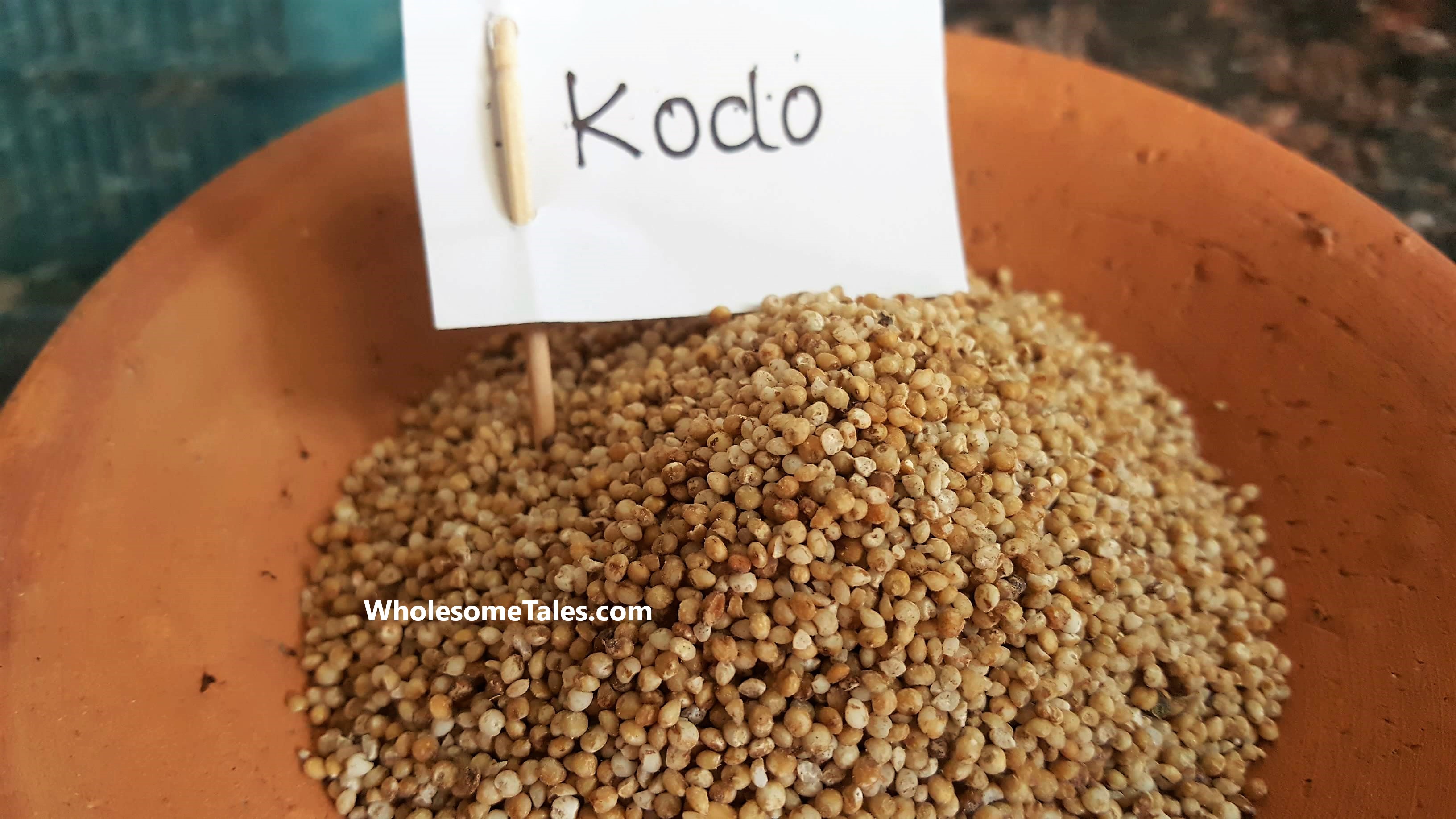 siridhanya-kodo-millet-color-size-grain-benefits-wholesome-tales